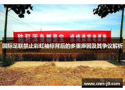 国际足联禁止彩虹袖标背后的多重原因及其争议解析