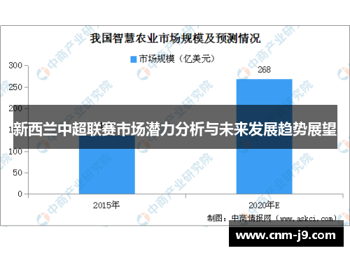 新西兰中超联赛市场潜力分析与未来发展趋势展望