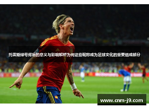 托雷斯绰号背后的意义与影响解析为何这些昵称成为足球文化的重要组成部分