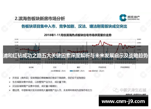 浦和红钻成功之路五大关键因素深度解析与未来发展启示及战略趋势 浦和红钻成功之路五大关键因素深度解析与未来发展启示及战略趋势