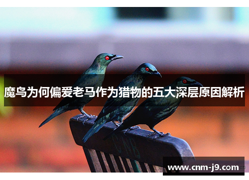 魔鸟为何偏爱老马作为猎物的五大深层原因解析